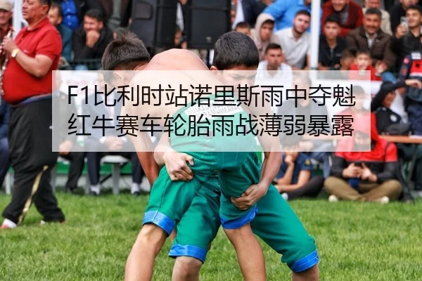 F1比利时站诺里斯雨中夺魁 红牛赛车轮胎雨战薄弱暴露